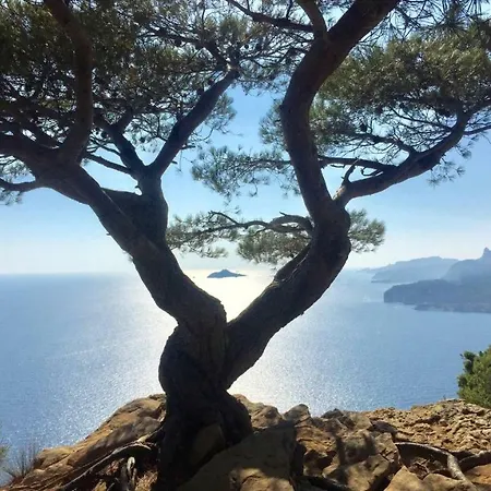 Port Village Parking